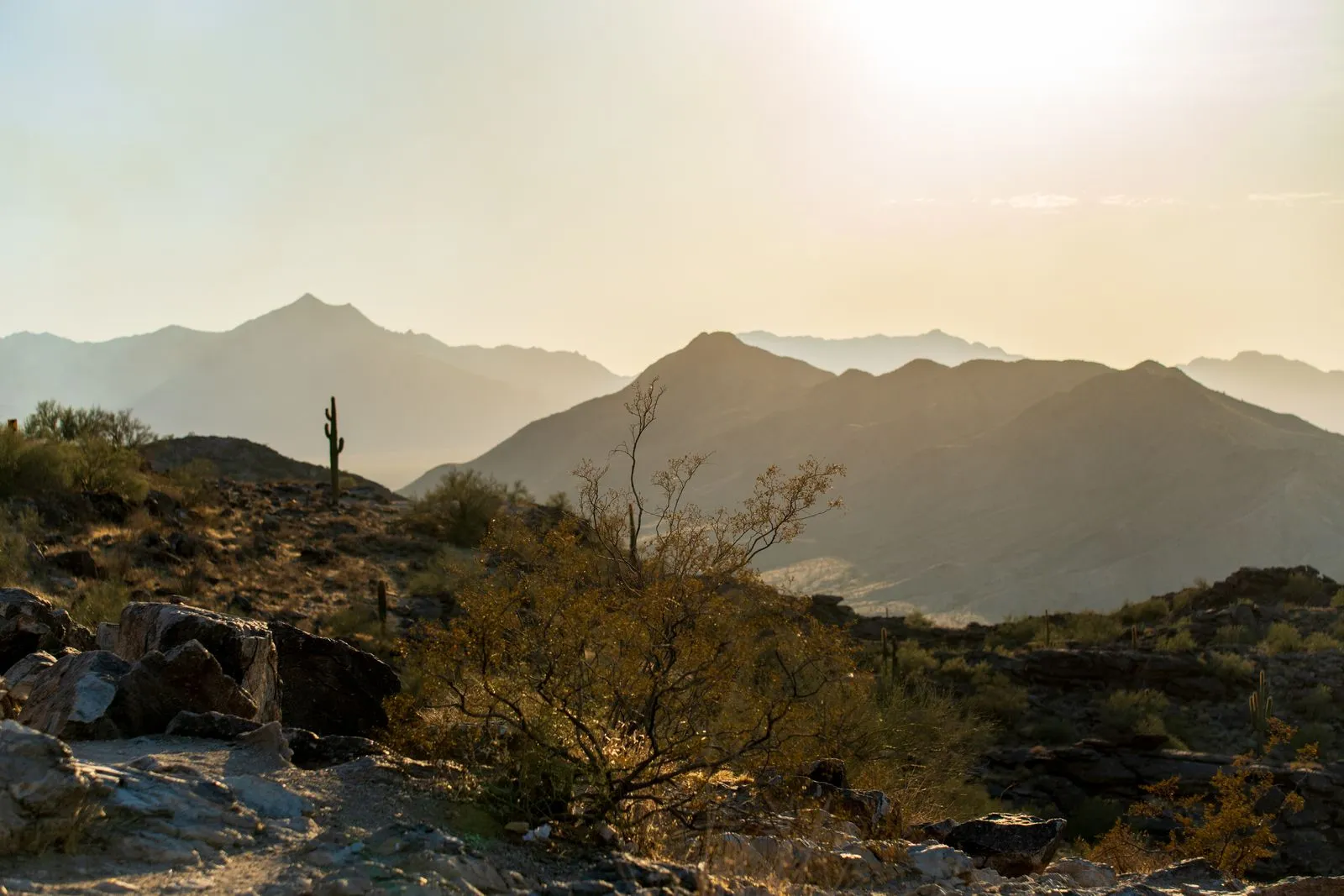 How to Choose a Campsite in Phoenix